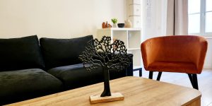 Appart centre Thionville 22