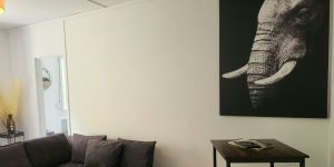 Conciergerie SHS - Le Grand Cerf 23