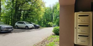 Conciergerie SHS - Le Grand Cerf 31